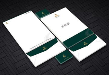 <b>雷帝动力VI手册设计作品</b>